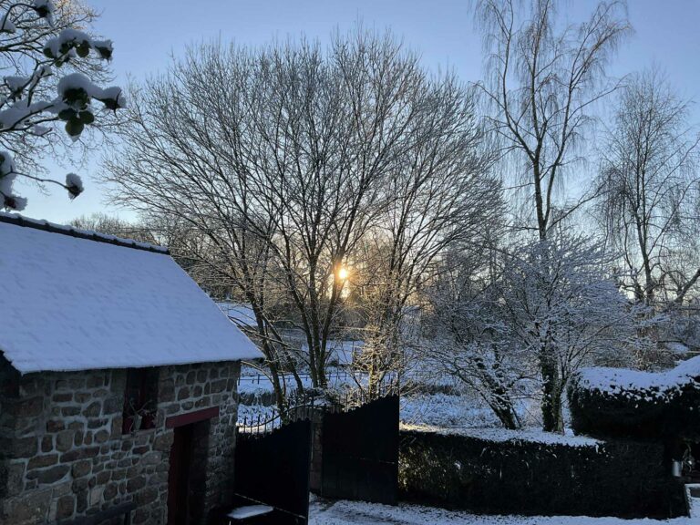 1111faf6-ab54-442f-9ccc-40899ce5deb9