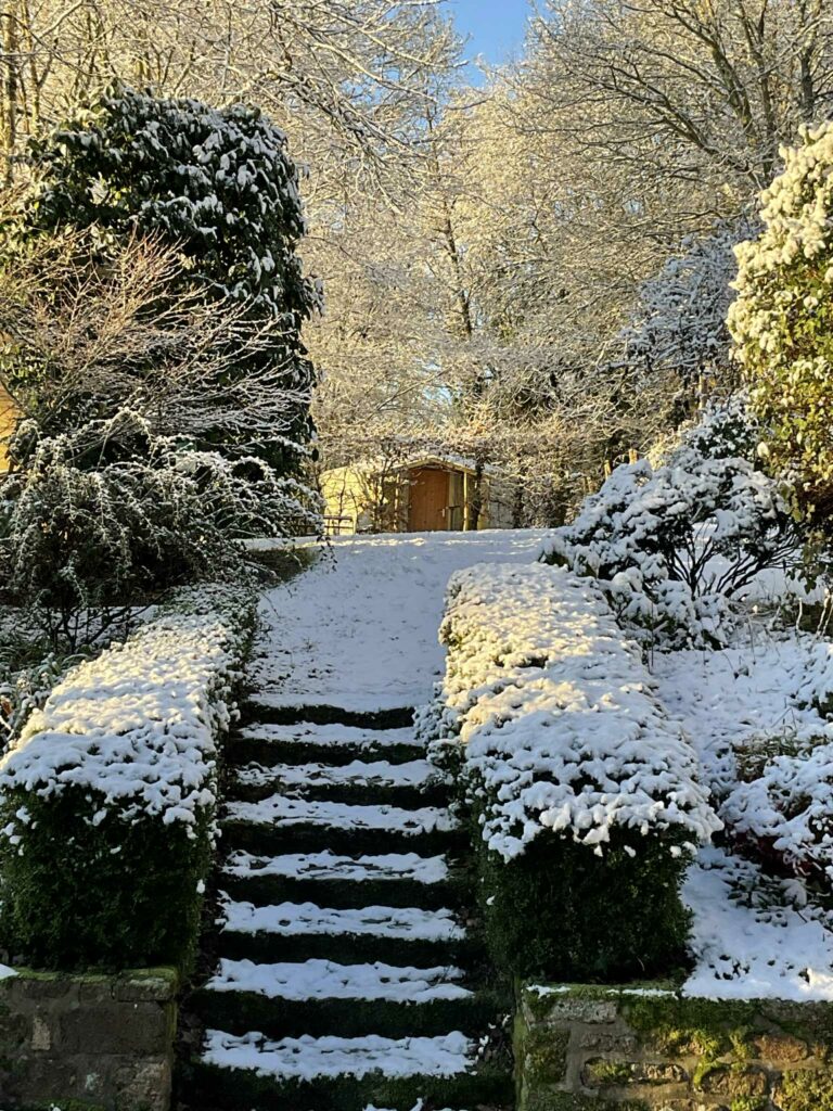 cec2be4b-d38e-46b4-83d7-53eb2f6c45e1